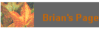 Brian's Page